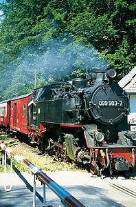Dampflok Molli, eine Schmalspur-Lokomotive der Baureihe 99 (Foto: TMV/Thomas Kliem)