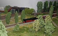 Die sehr realistischen Bäume auf der ehemaligen Modellbahnwelt Oberhausen zeigen, wie hoch Bäume tatsächlich auf auf der Modellbahnanlage werden können